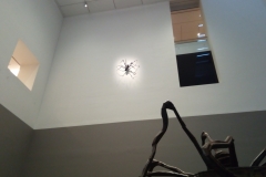 Autre araignée...