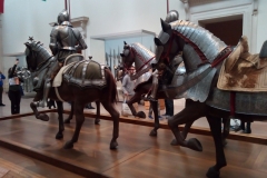 Ces chevaux sont prêts au combat.