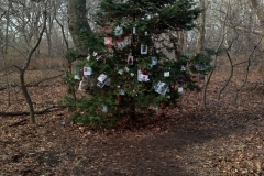 Oui, au hasard de Central Park, un sapin de Noël a été installé...